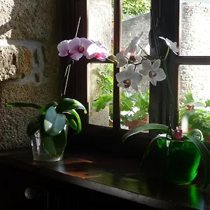 Le Ratelier Hotel Carnac